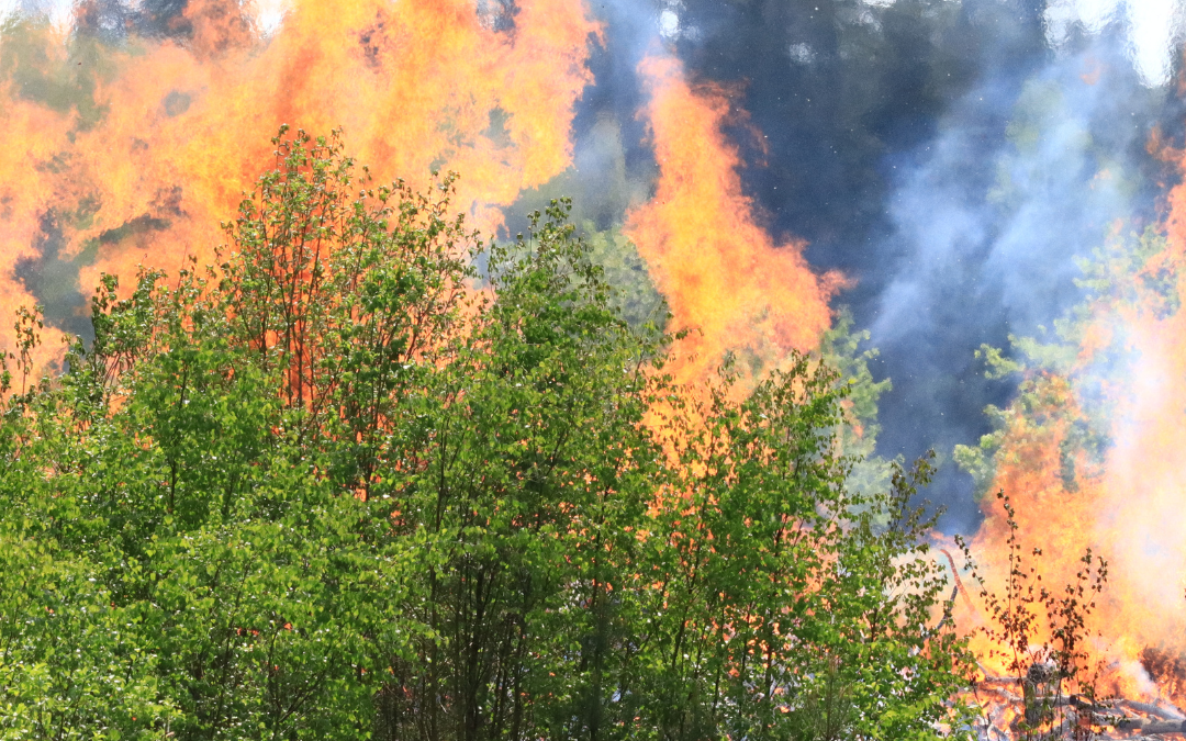 Preparing Your Home for a Wildfire