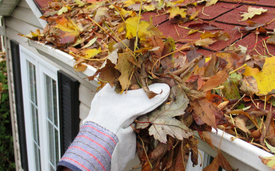Top 10 Fall Home Maintenance Tips