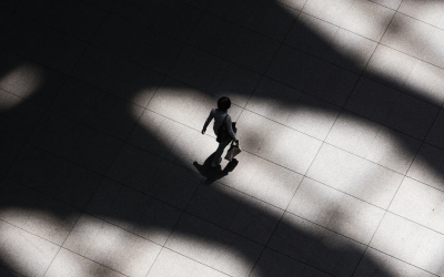 Regulatory Shifts and Contract Risk: The Coverage & Clauses Businesses Overlook